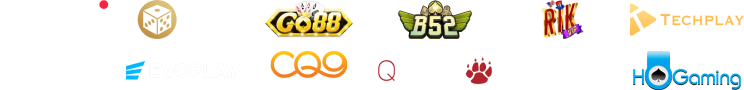 providers