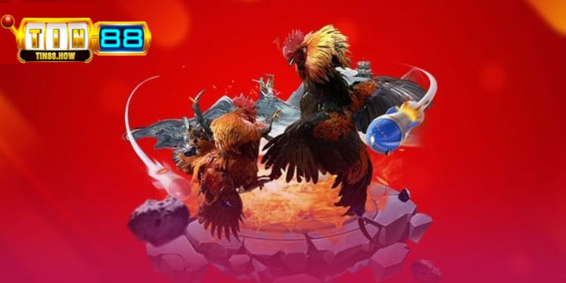 Một số kinh nghiệm cược giúp mọi người tối ưu chiến thắng