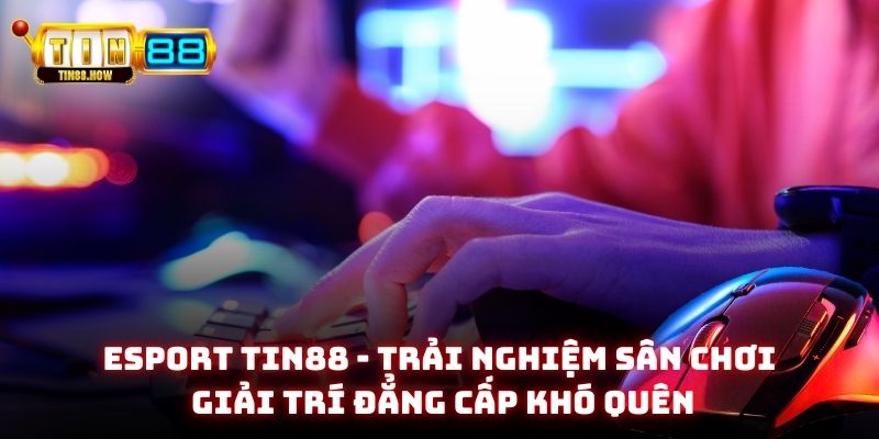 Esport Tin88